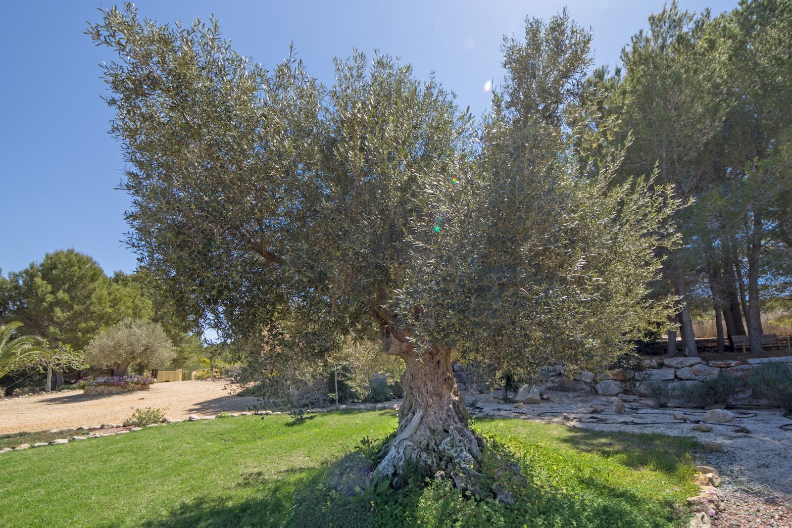 Ferme de campagne avec vue panoramique à vendre à Javea