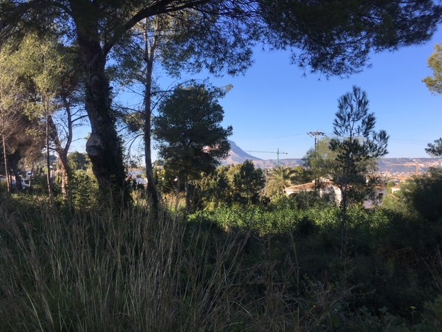 Excellente parcelle à vendre à Cap Marti - Javea