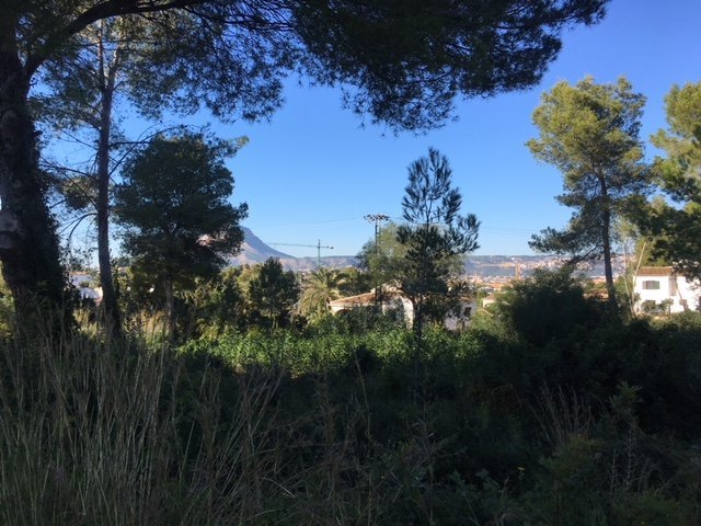 Excellente parcelle à vendre à Cap Marti - Javea